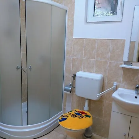 Apartment Nora Brasov